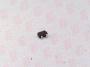 ON SEMICONDUCTOR BAS16W