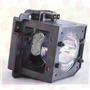RADWELL VERIFIED SUBSTITUTE 42HM66-SUB (LAMP & HOUSING)