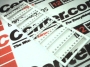 WAGO 248-507