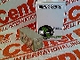 IDEC RTY-10S-AC120V