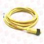 MOLEX 40906