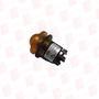CORTEM GROUP M-0457/2Y12V