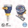 ICON PROCESS CONTROLS TI3F-SS-L