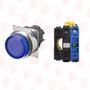 OMRON A22NL-RPM-TAA-G100-AC
