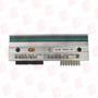 ZEBRA 23741-25