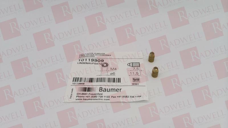 BAUMER ELECTRIC 10119909