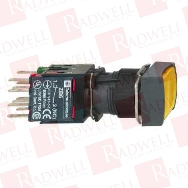 SCHNEIDER ELECTRIC XB6DF6B1B