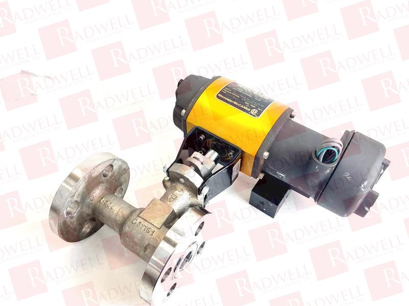 FLOWSERVE 19466PM300-N1651-R1