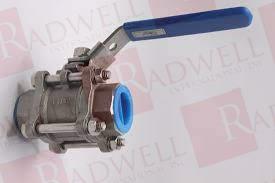 FNW VALVE CORP FNW310ASWG