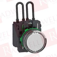 SCHNEIDER ELECTRIC XB5AW21G5