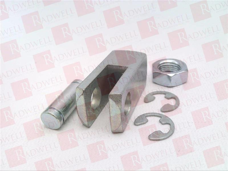 Trovata Una Nuova Specie Di Zecca Sul Carso Triestino - Foto 7