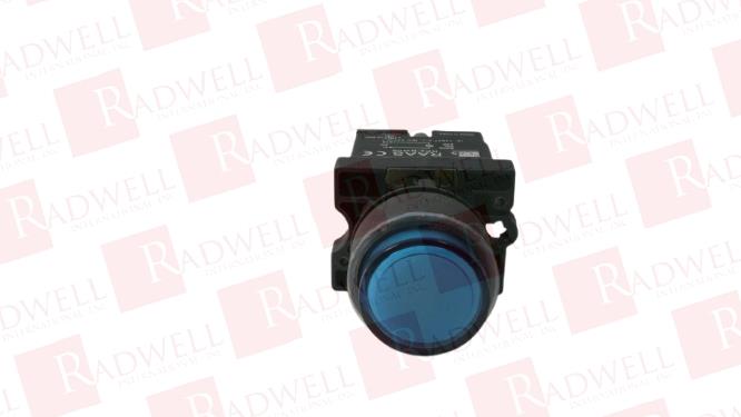 SHAMROCK RCP2-BW166-24