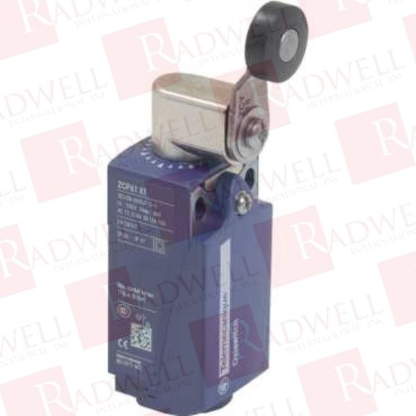 SCHNEIDER ELECTRIC XCKP6118G11X1