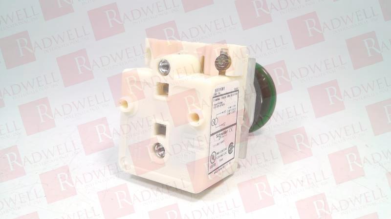SCHNEIDER ELECTRIC 9001-KR9P1GH13