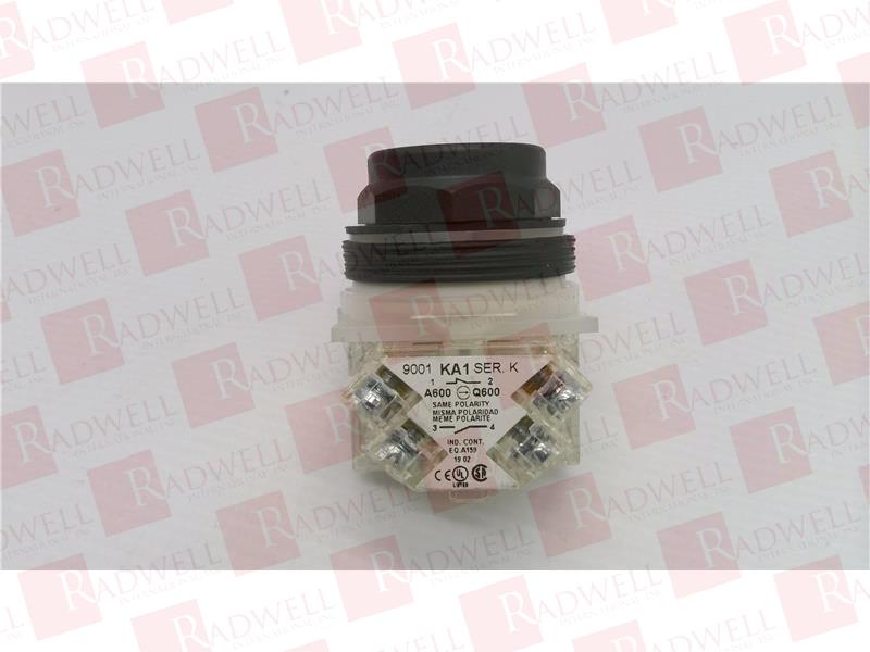 SCHNEIDER ELECTRIC 9001-SKR1YH13