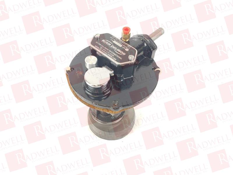 BIJUR DELIMON D2235