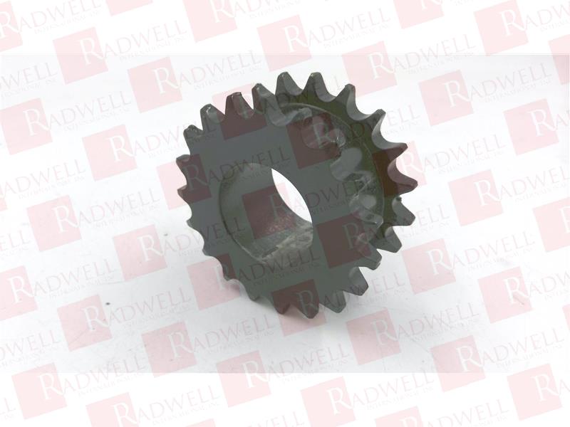 REGAL REXNORD DS40H19