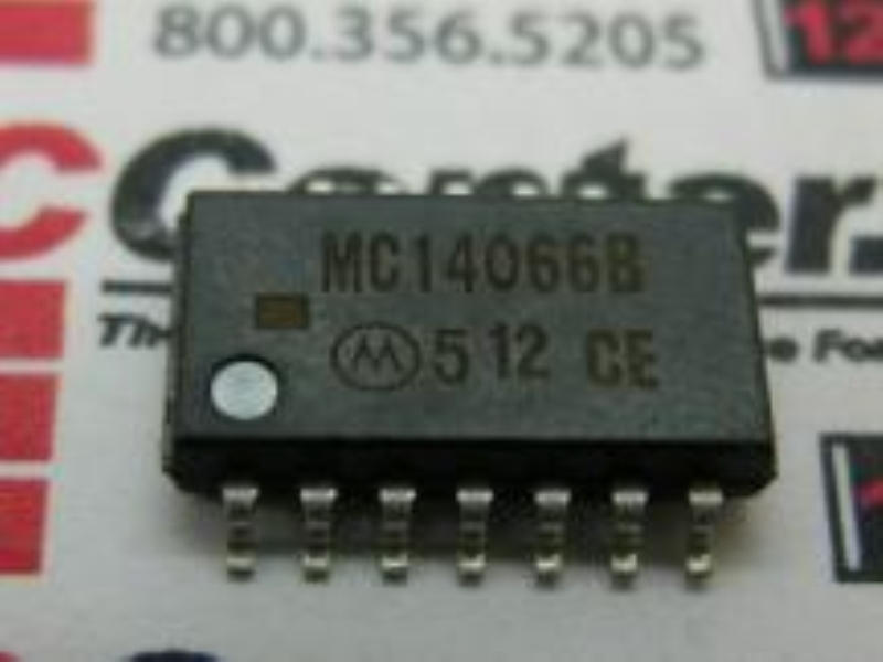ZEBRA IC14066BF