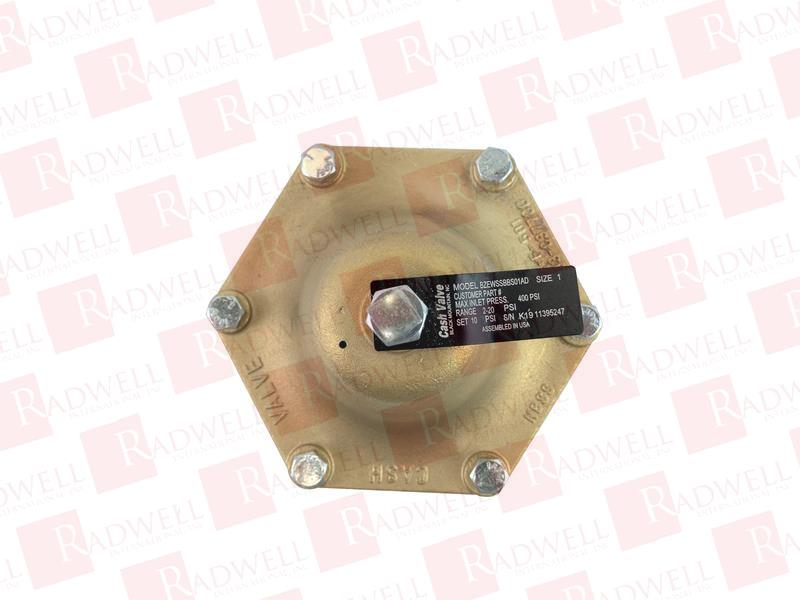 CASH VALVE BZEWSSBBS01AD