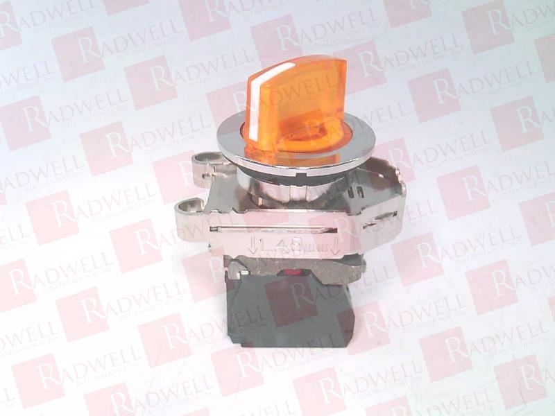SCHNEIDER ELECTRIC XB4FK125B5