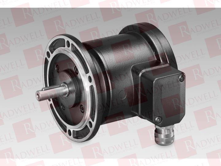 BAUMER ELECTRIC 11080011