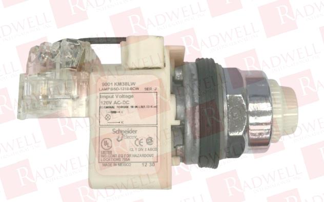 SCHNEIDER ELECTRIC 9001-KT38LWW31