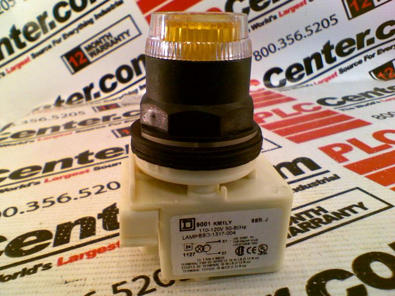SCHNEIDER ELECTRIC 9001-SK1L1-Y7