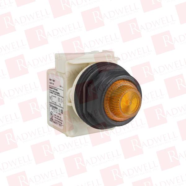SCHNEIDER ELECTRIC 9001-SKP38LYA31